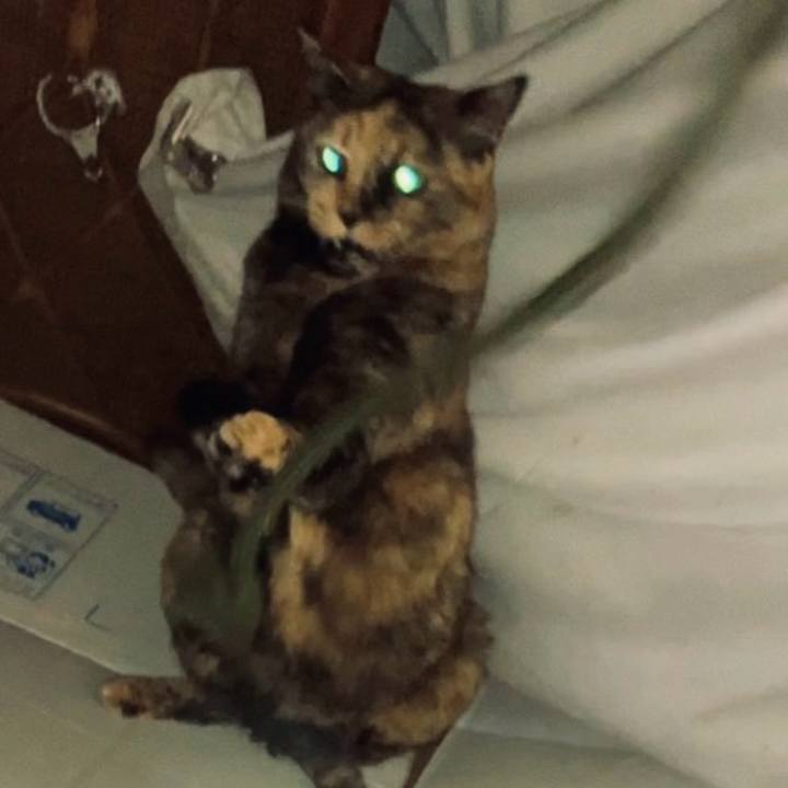 2bea027d 71a4 4d65 b20c 5a53ced79f58 1736802103807