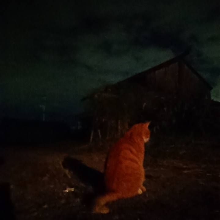 2bea3e7c 3c81 481c ac9b 301d573ea6d1 1602669402639