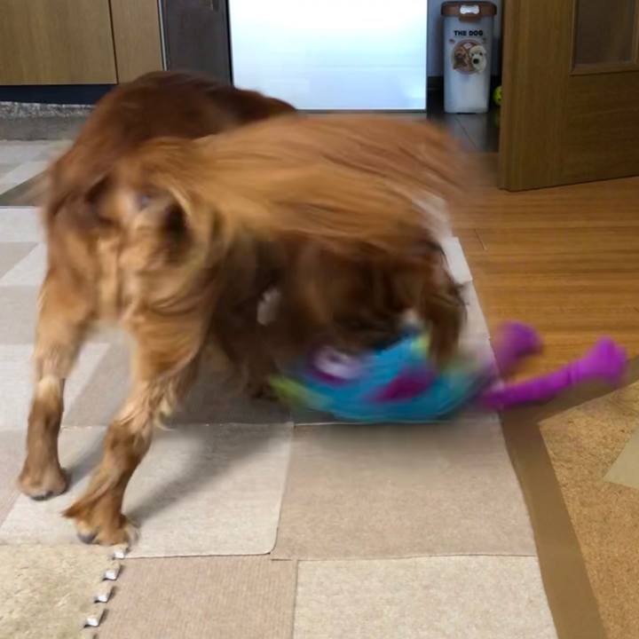 2bea63fc 8f8f 44d7 97c5 cbe519c8b5de 1595888578048