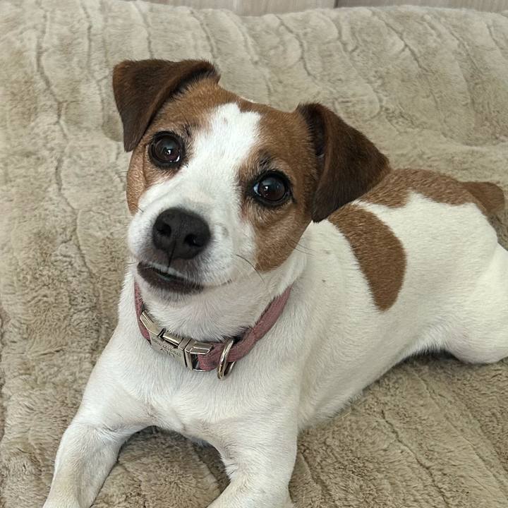 2bea66af 9f4e 414b af88 203faf6572c6 1774326742302