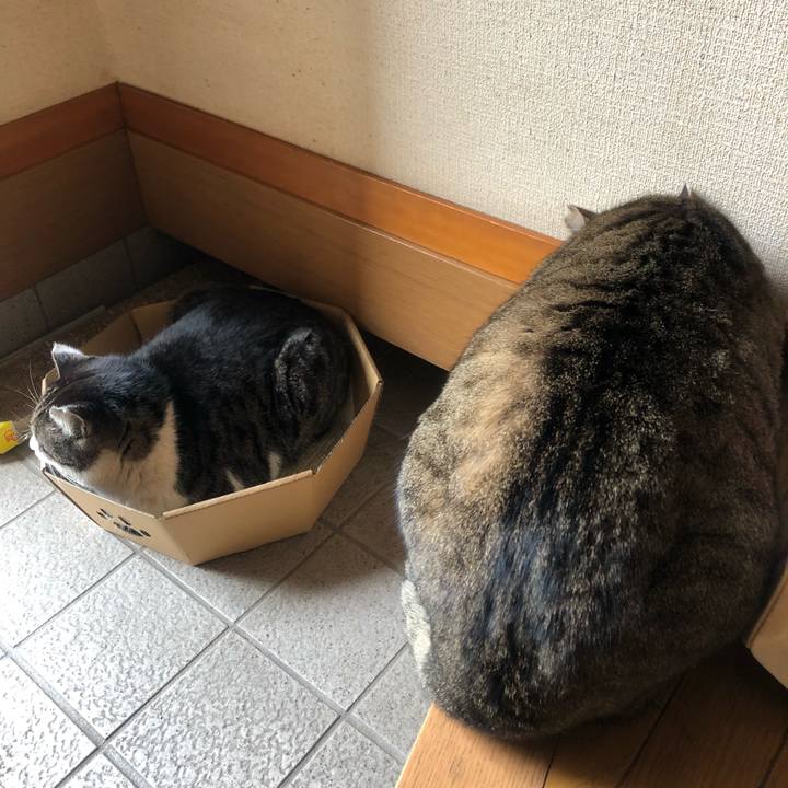 2bea69c9 e725 42a7 bd88 6bf17bcc89e0 1550967170519