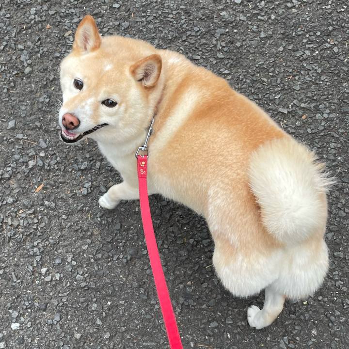 2beab888 ac24 4671 acff c585285113f8 1717068837407