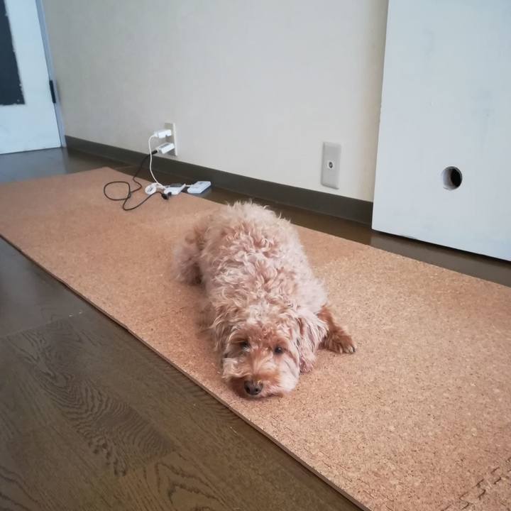 2beacf7e 9dea 4e75 89c2 7c76d25f0555 1524896648996