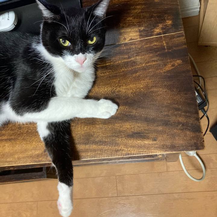 2beaee64 df08 4f56 bd66 1358f8128257 1619755493096