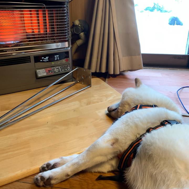 2beafa57 a34a 44c5 8233 56f4ef68523b 1638225609225