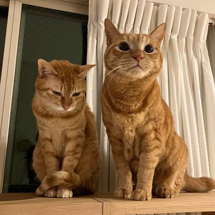 2beb5c9a 731b 47a2 b311 20ddc0def0d4 1770290478937