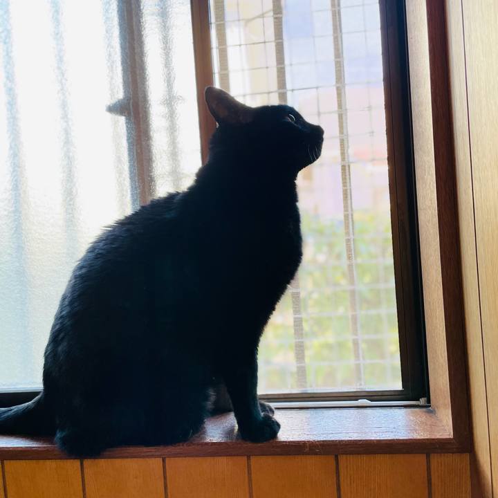 2beb7714 bb2e 4c98 a8f9 d4509fd6512a 1614476270527