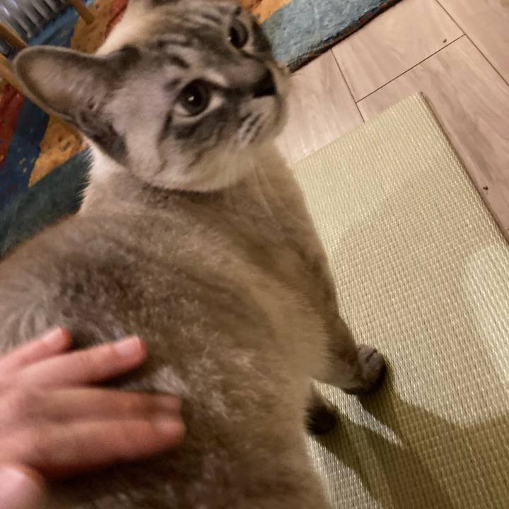 2beb9867 70a6 4825 b229 dbc2b647f5e9 1672063511491