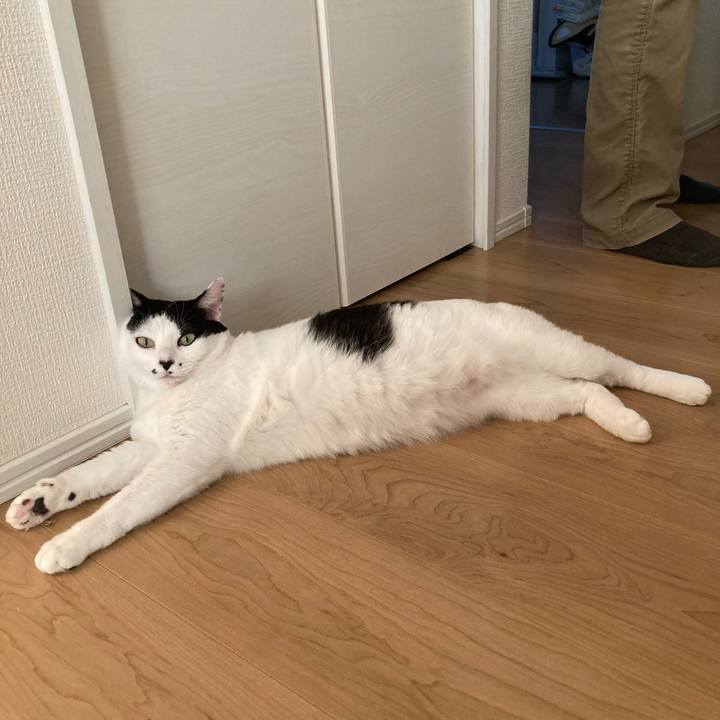 2bebbce0 c36f 4acd b227 4868a336544d 1763202639436