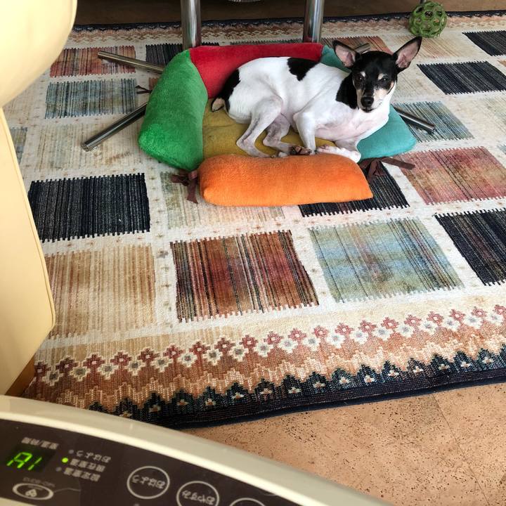 2bebdf45 95bf 4c78 be5a 68630e07d256 1511303726396