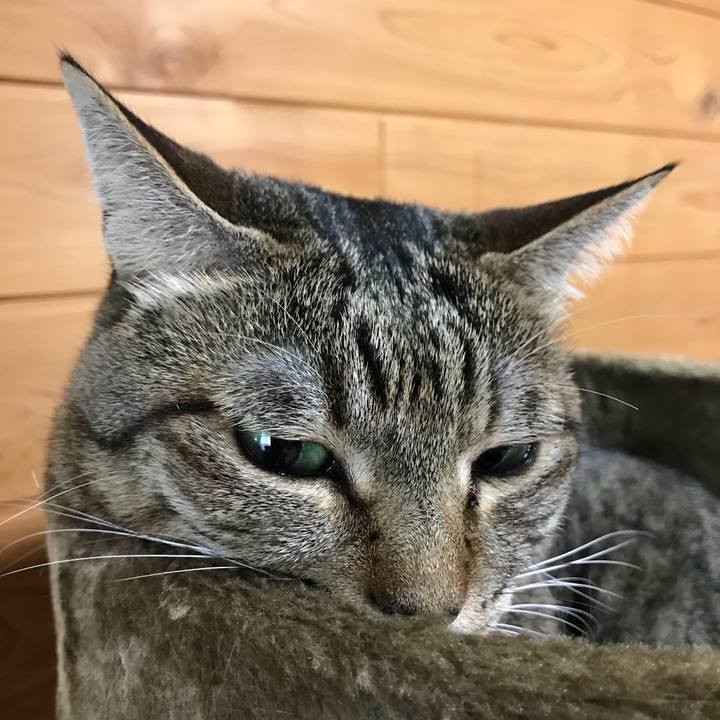 2bec1e3d 5732 4bc0 a961 79d42f22078a 1527902771352