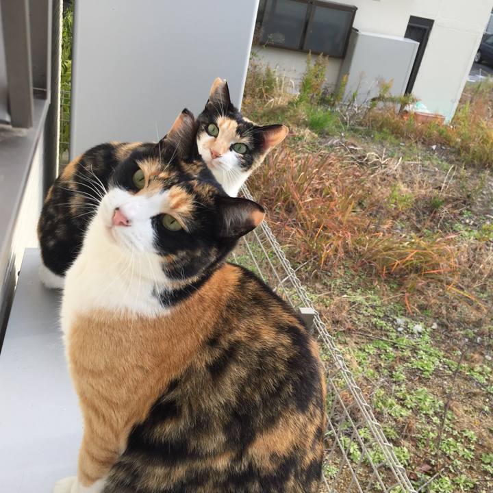 2bec56f0 9e8d 491e b50d 2161c138bb73 1511745819054