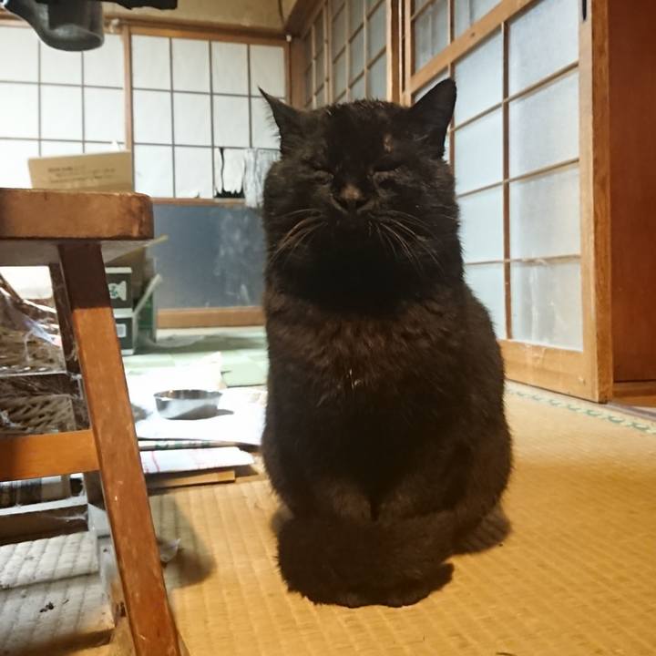 2bec6670 77dd 4c4d ae93 fd4c54ed89fc 1616926160881