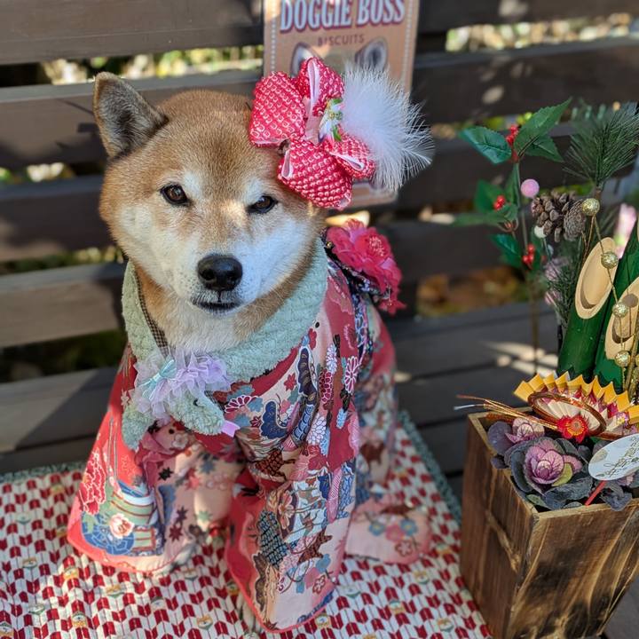 2beca3f7 0cda 4f97 b513 34e16ebfc148 1735738841088