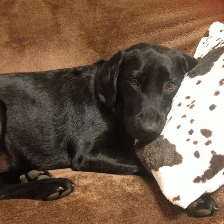 2beca75f a888 43fe 9f1b 509516789abd 1743347496116