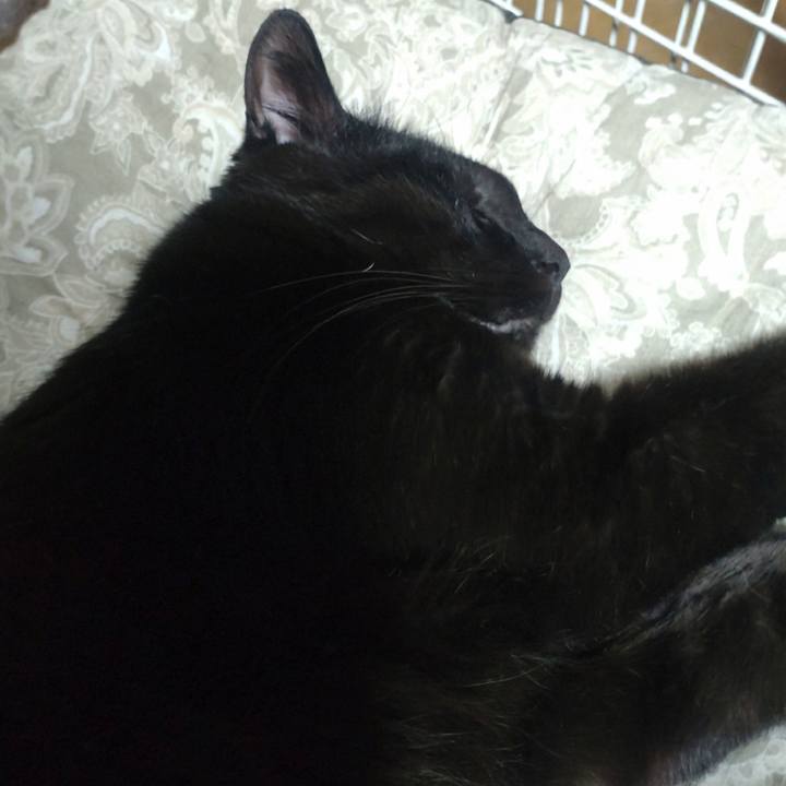 2becc541 ce9c 4166 b133 686d6c86440b 1735980065863