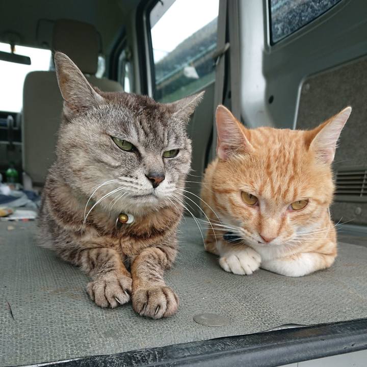 2becd7aa f527 4744 a282 1fee9e59ab3e 1571213160597