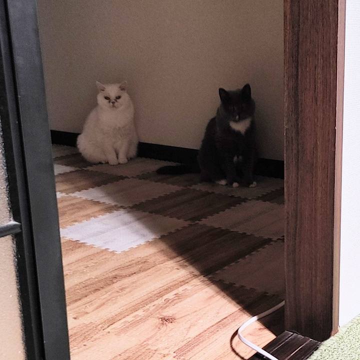 2becdefa a43a 4ee2 b1de 7d3c4cb80e3c 1715444512944