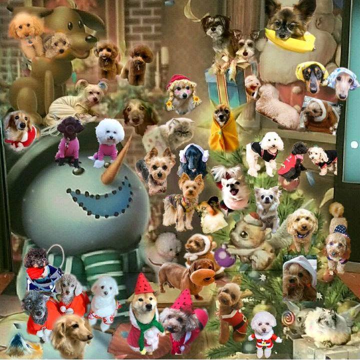 2bed76bd 7261 439b acff 4c7bbf87c65b 1512904419150