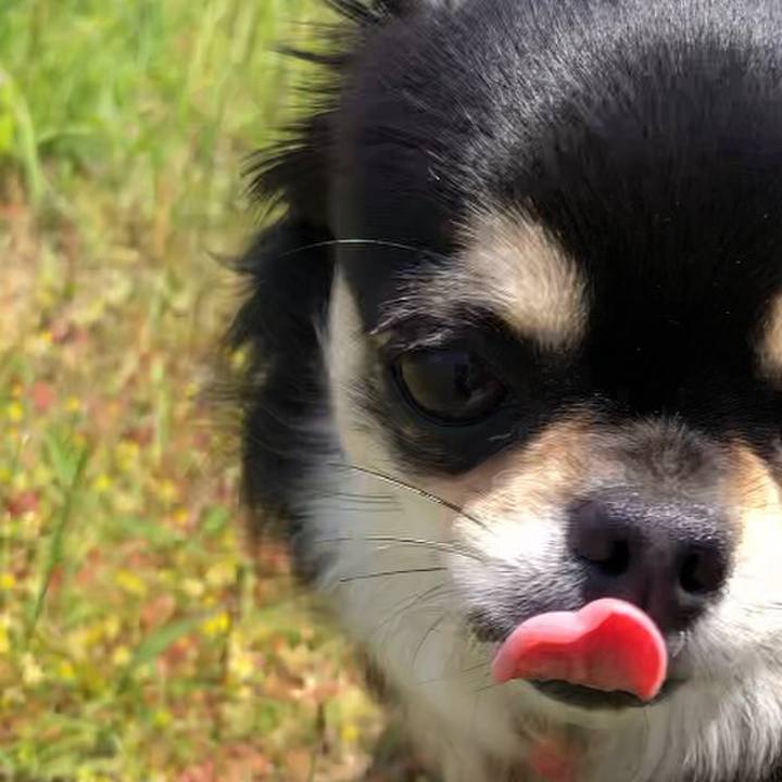 2bed7b24 e40f 4899 85e7 c9f55a47151e 1588148756709