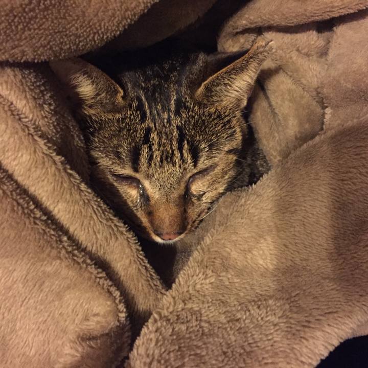 2bed9f7e 870d 4df9 984c 8b5d534aaa4e 1519391552973