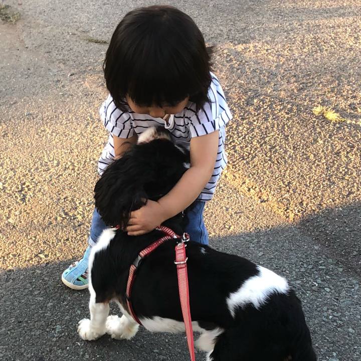 2bedd34a 2091 47fa a656 f14766ce9e1e 1533201984153