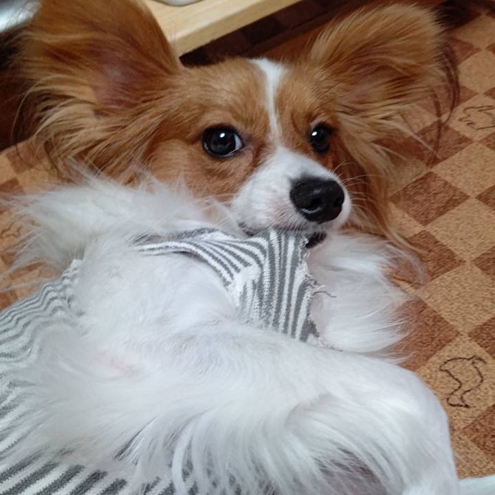 2bedd4e5 9502 447c 90e3 439e18e5f493 1633167483011