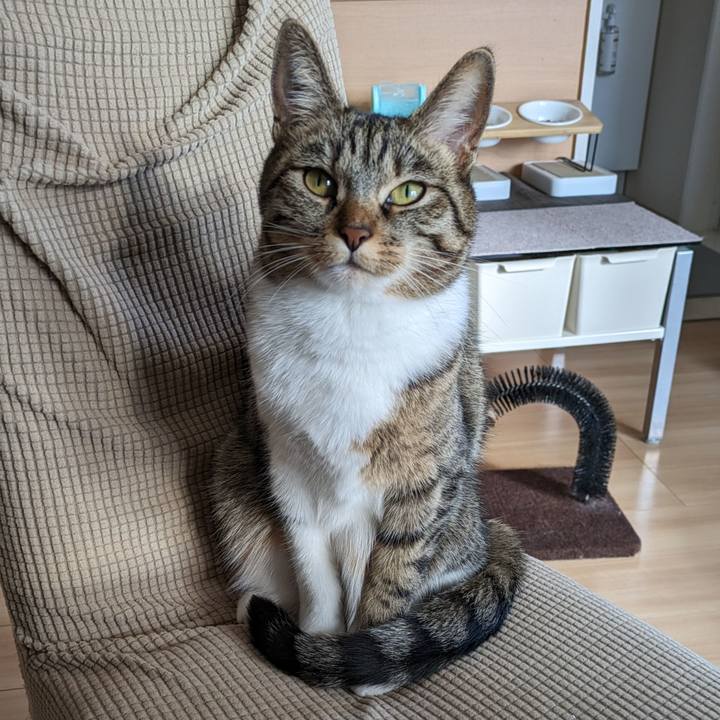 2beddfc2 3720 4254 a95d 9ad625c2d67e 1706055090384