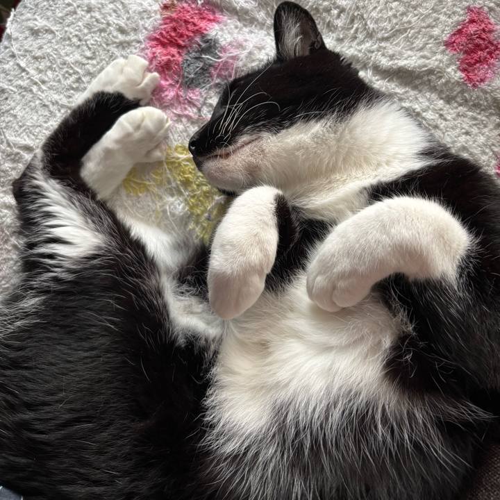 2bedf171 ba86 4c67 87df dbb38960ccee 1760317977712