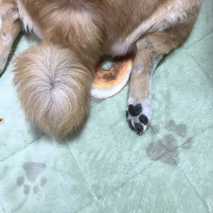 2bee5b13 e85f 4815 8c34 4210e3bf18b7 1540084607623