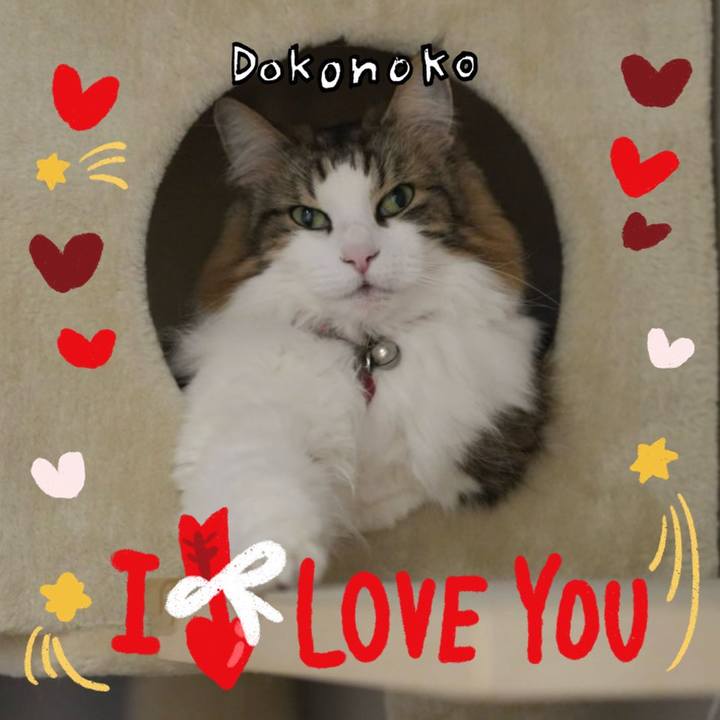 2bee5bb3 3b11 4c91 8ad8 412bfc375268 1706960243543