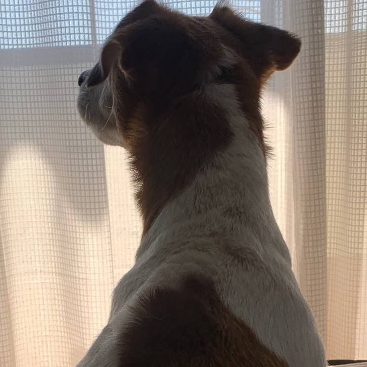 2bef41e1 bd6d 44c6 a273 a170f6b20c3d 1587915581239