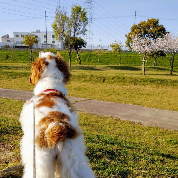 2bef5ba5 02bc 4246 a17a 1ed75c3ebd99 1554801176034