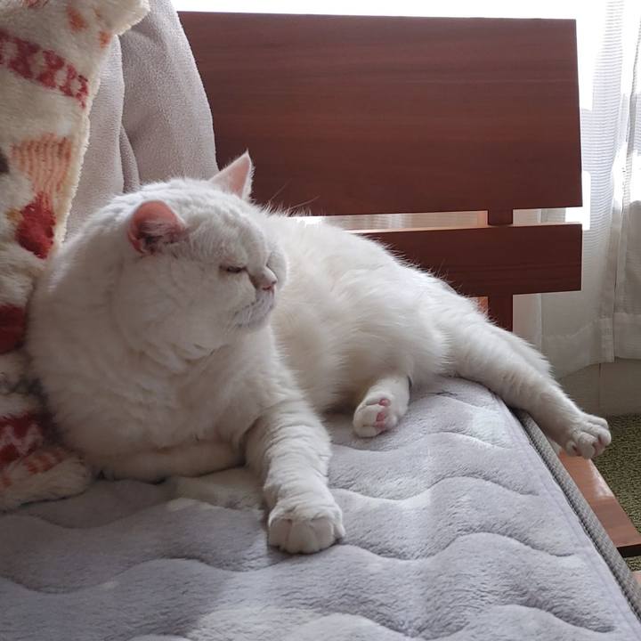 2bef6b81 f408 444c a3be 96eed7d9d1bf 1769875653822