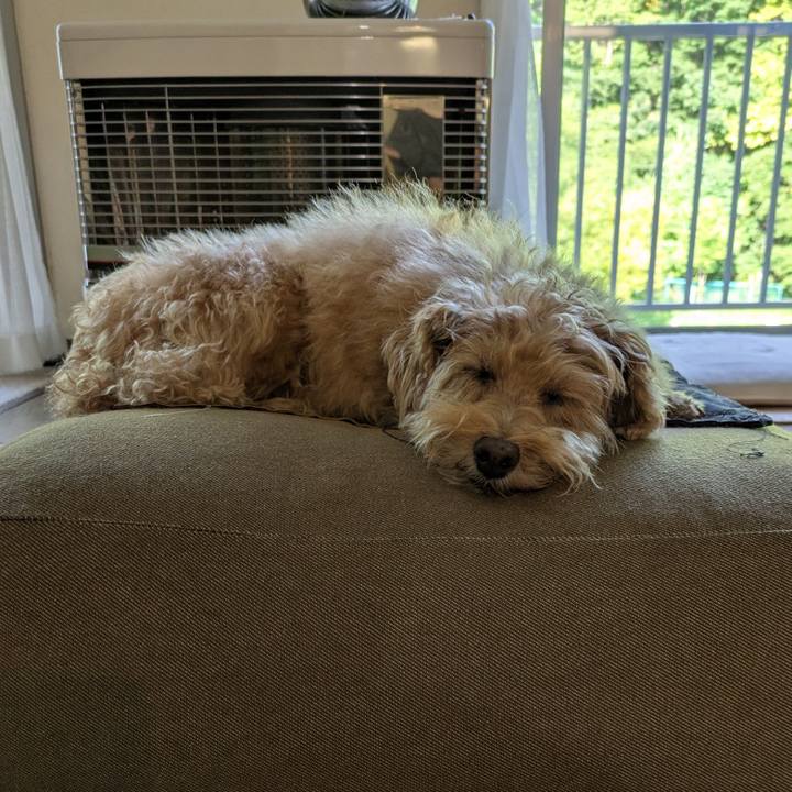 2bef8b9b ec4b 42a1 9617 4182f322434c 1757024422307