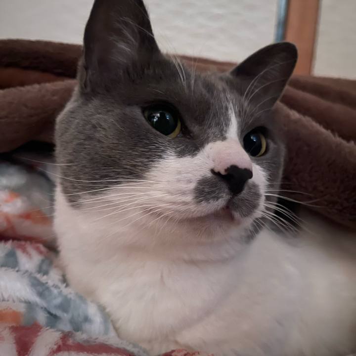 2befd114 6066 4bdd 9bdb 460e04a54b17 1740437236305