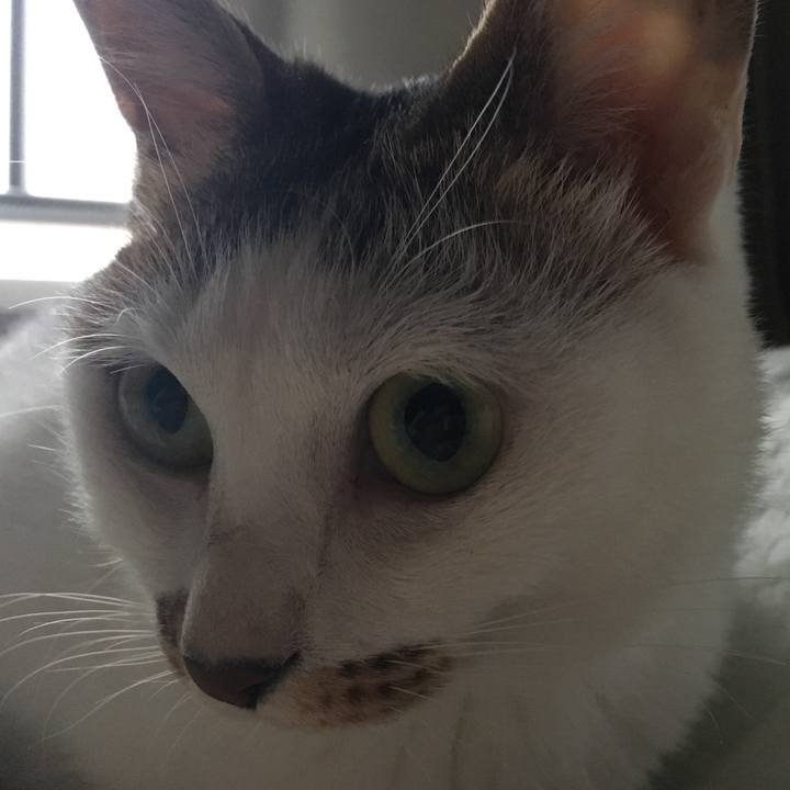 2befdc40 ea32 4a17 877b ab955b0c3e12 1563026294541