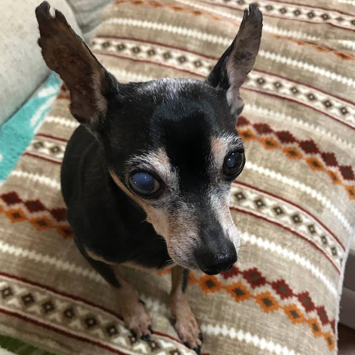 2befefdb 908f 4329 b0cf 1bf2d8947dca 1547878508360