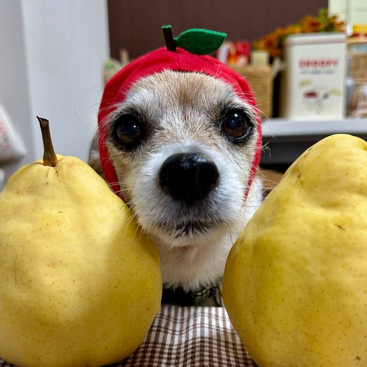 2bf035df 71d4 4761 80c3 453f1aa91b2e 1669632005210