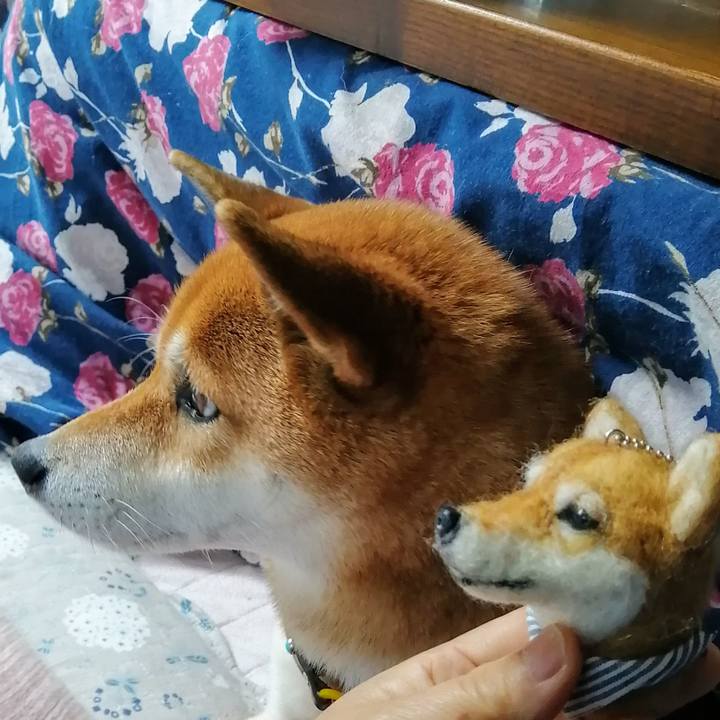 2bf074ba 6997 4337 96d8 83309db00cf5 1607072355161