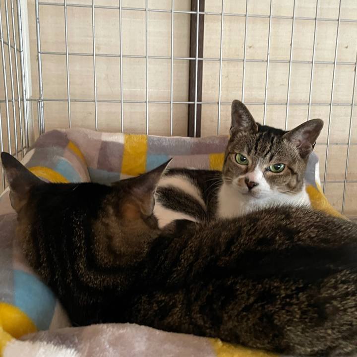 2bf09d8f fa44 4db8 812e 85adfd45f424 1615772928326