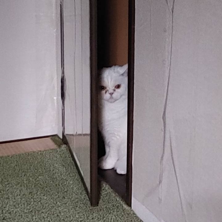 2bf0a613 1509 4c23 890a 9d37ff6f7ae4 1667879686197