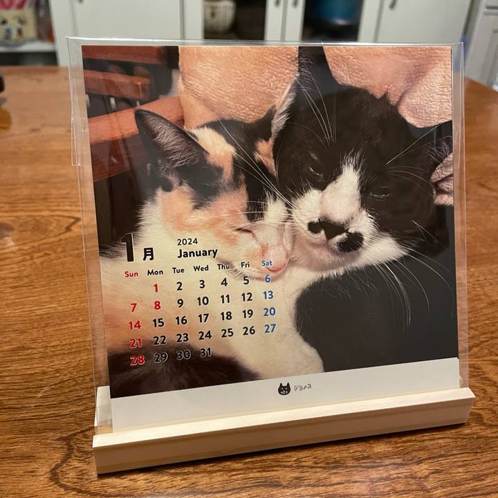 2bf0a808 d1c0 45ce b677 d3c9fbc5677c 1706016870432