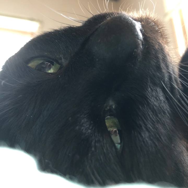 2bf0b2eb 65a9 46c0 9640 0a62ea31ffc2 1742595372575