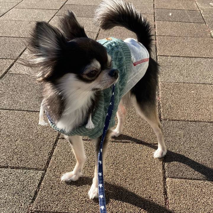 2bf0c029 076a 43ee 8527 b11de3e2fbf9 1641054938898