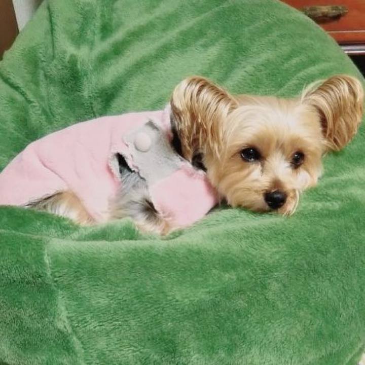 2bf106dd a3b9 4e55 8877 d8704919d80f 1641170586846