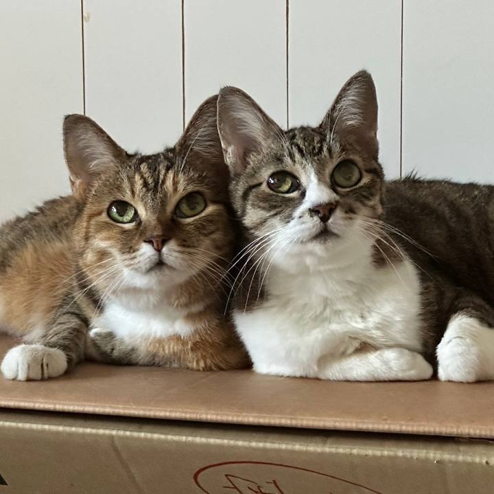 2bf1733d a49e 4035 a1bb 0bda23ea746d 1722775989478