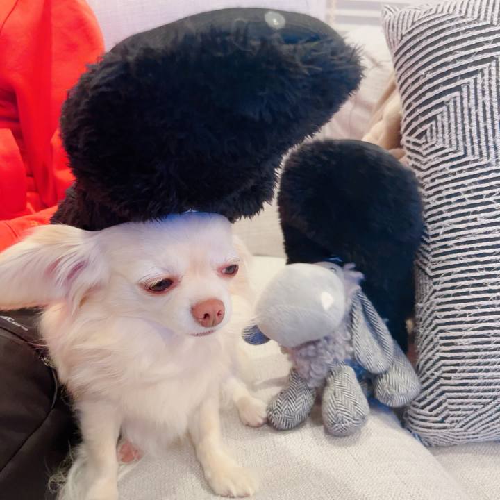 2bf17877 f9f1 4f76 bee5 b9d877ae6b92 1707738632074