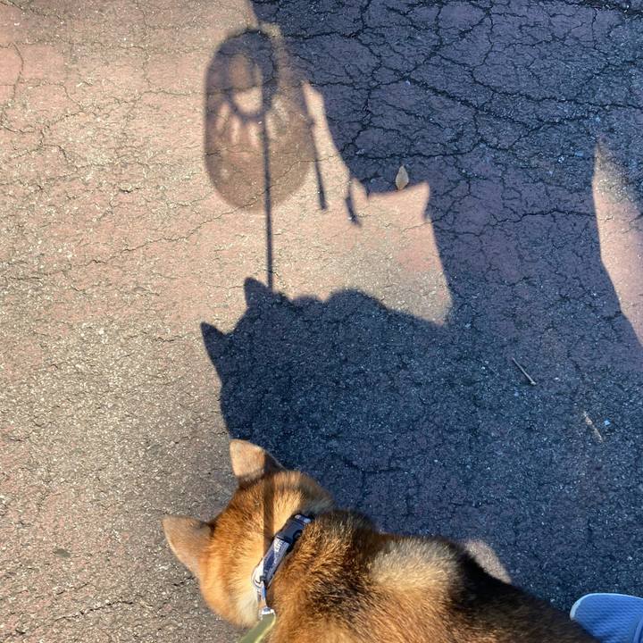 2bf196ad 6466 4da7 8829 c7013d69e8d7 1667880899709