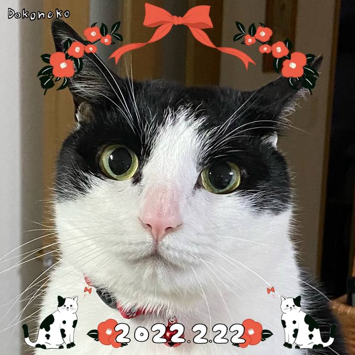 2bf19d20 c8ca 4061 bc42 c23379f2b2ee 1645505541413